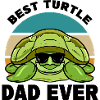 Turtle lovers