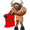 Maroc Fan Taureau