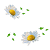Sophie