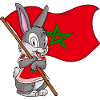 Lapin du Maroc