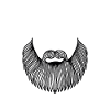 Brazilian Jiu Jitsu Beard