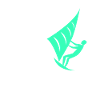 Kite Surf