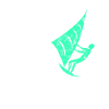 Kite Surfing