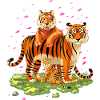 Tiger Family