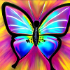 Schmetterling, bunt