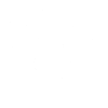 Face of a rhinestone dog
