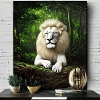 White, majestic lion