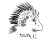 Porc-épic mignon