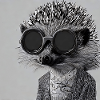 Cool hedgehog with sunglasses