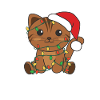 Cat Christmas Winter Animals Cats