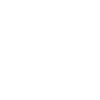Chasseur de tempête.