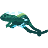 Chameleon