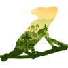 Caméléon