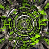 Abstract planes of plants