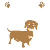 Dackel Anatomie