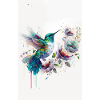 Colibri