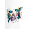 Colibri