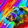 Bear with sunglasses