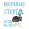 start talking about Cassowary