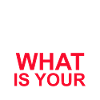 Beer Wine Whiskey Schnapps Alcohol