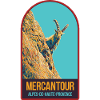 Ibex illustration in the Mercantour