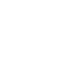 Future Pilot