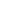 Wait I See a Coin