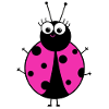 Ladybug Pink