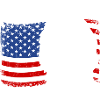 Briard America Flag Dogs Wilsigns