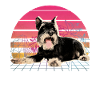 Miniature Schnauzer