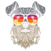 Miniature Schnauzer