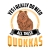 Need These Quokkas Australia Marsupial