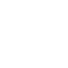 LIMITED EDITION 1981
