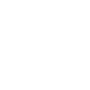 LIMITED EDITION 1985