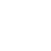 LIMITED EDITION 1994
