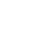 LIMITED EDITION 1976