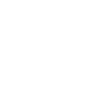 LIMITED EDITION 1979