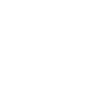 LIMITED EDITION 1995