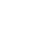 LIMITED EDITION 1984