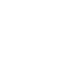 LIMITED EDITION 1977