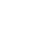 LIMITED EDITION 1988