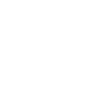 LIMITED EDITION 1990