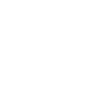 LIMITED EDITION 1991