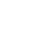 LIMITED EDITION 1980