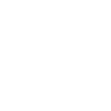 LIMITIERTE EDITION 1993