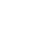 LIMITED EDITION 1992