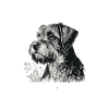 Miniature Schnauzer