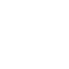 Miniature Schnauzer