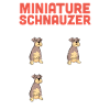 Miniature Schnauzer