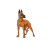 Great Dane